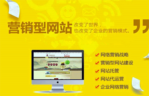 营销型网站普通版_沈阳网站建设图